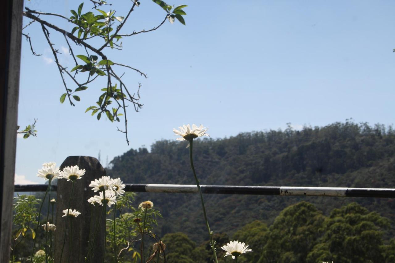 Bezel Bungalow Nuwara Eliya Esterno foto