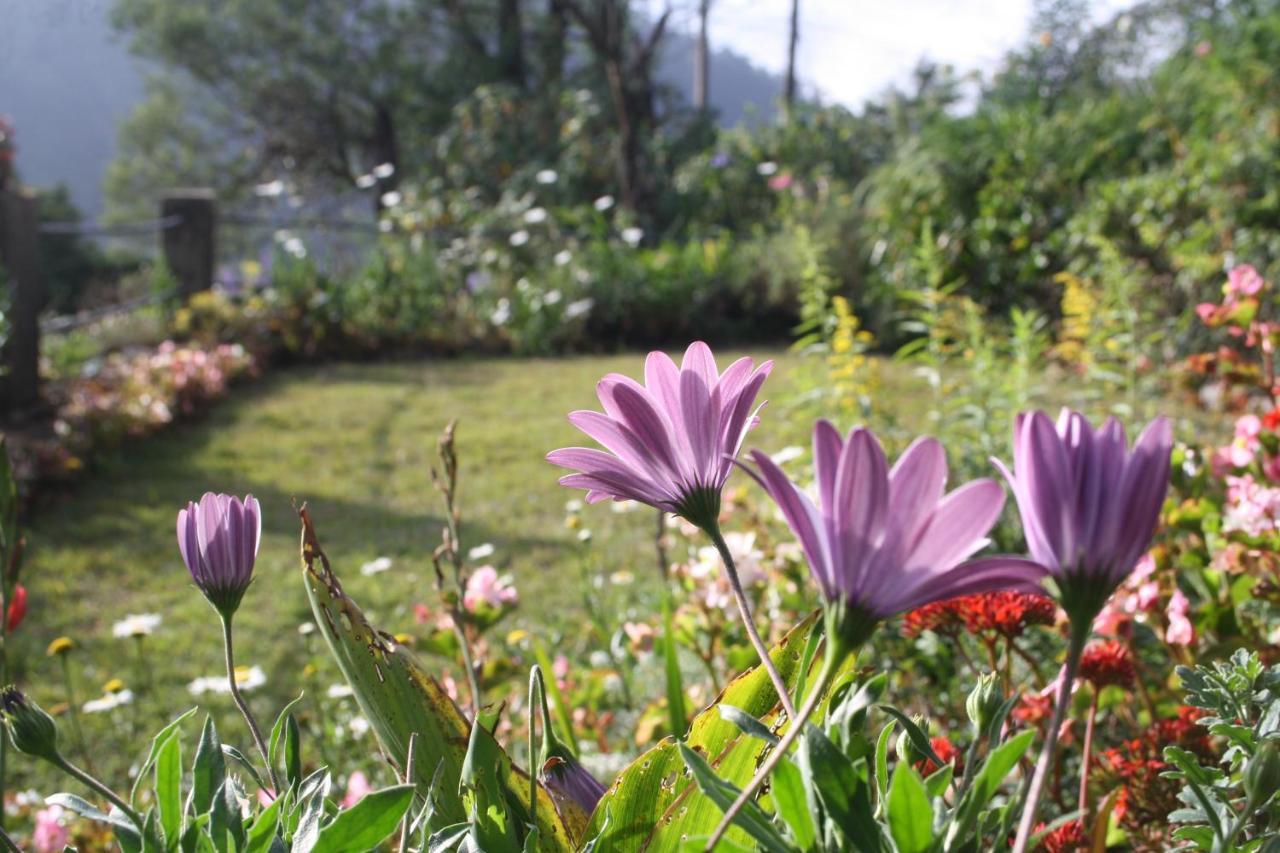 Bezel Bungalow Nuwara Eliya Esterno foto
